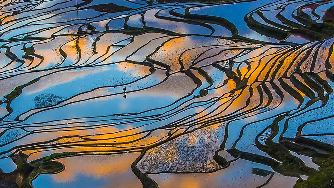 1735187905445098.jpg 《人勤春早》陈畅 摄.jpg