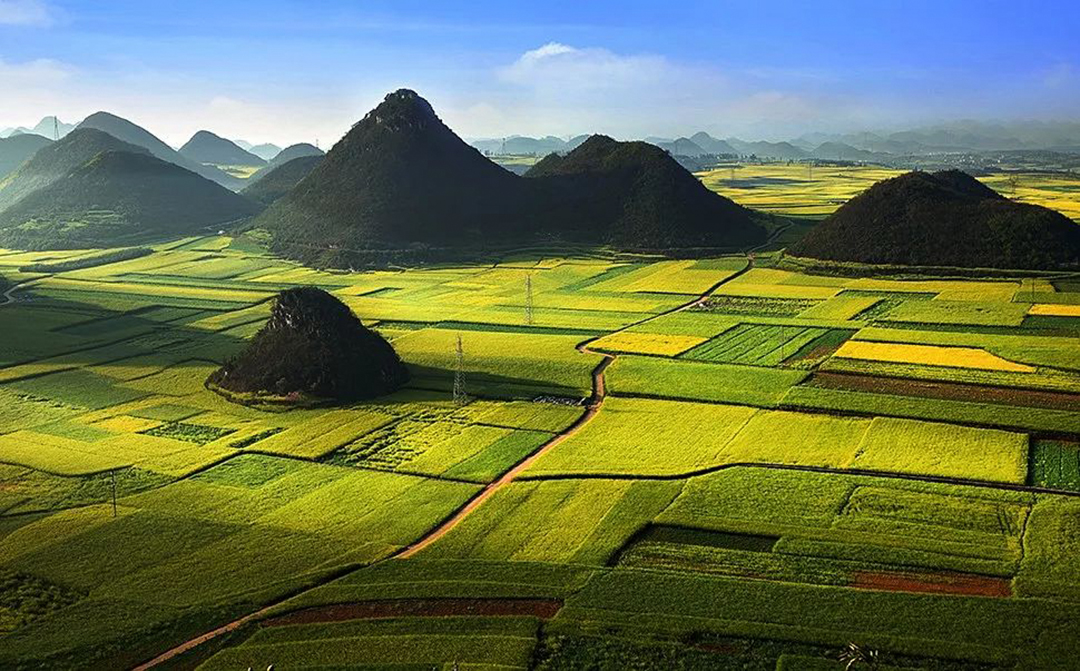 1735218296115525.jpg 《彩盘落子多妖娆》尹秀忠 摄.jpg