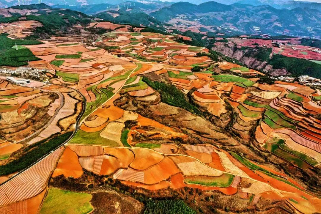 1735218314328818.jpg 《大地华章》姚国华 摄.jpg