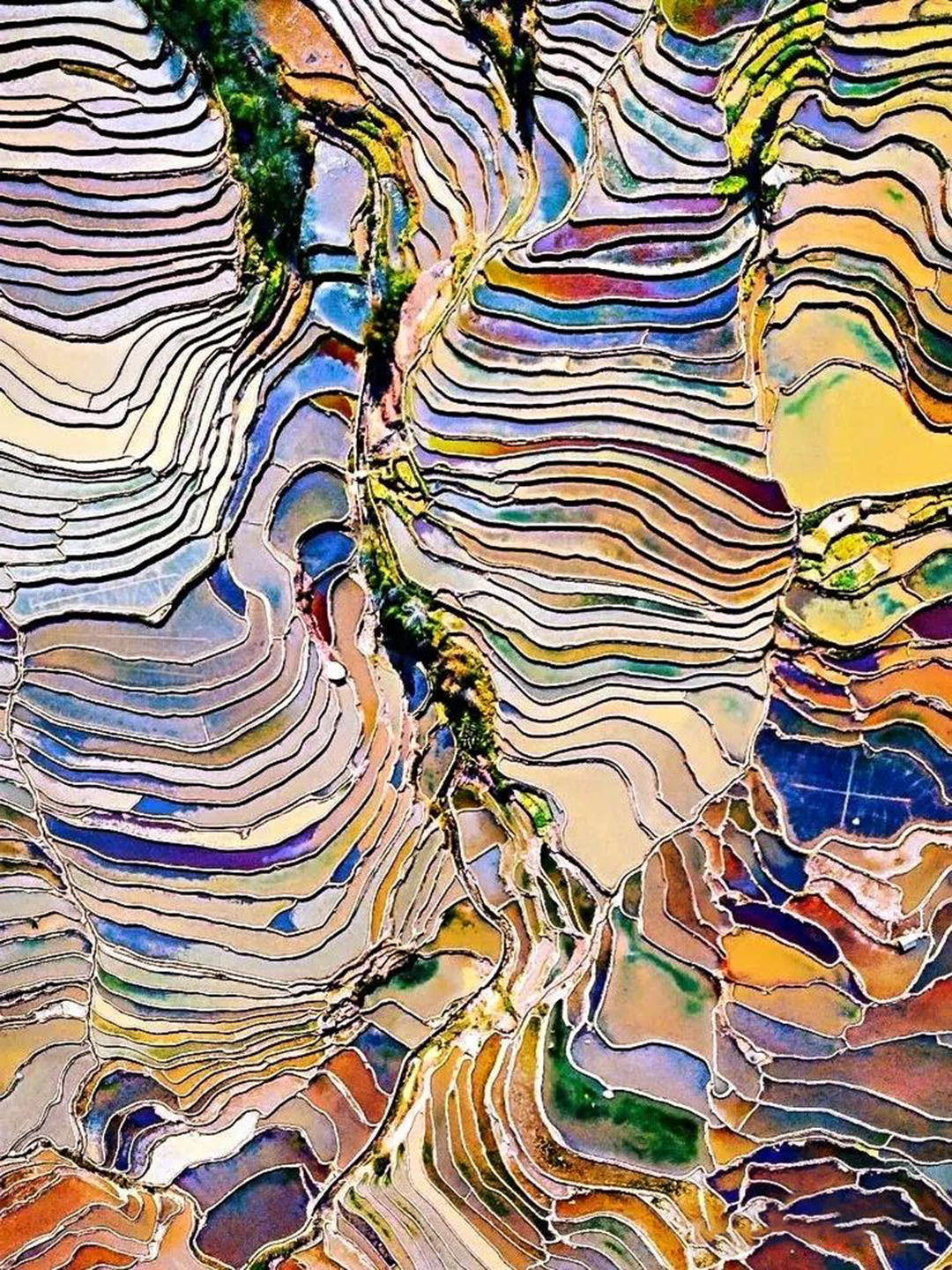 1735218385684327.jpg 《七彩调色盘》曹德敏 摄.jpg