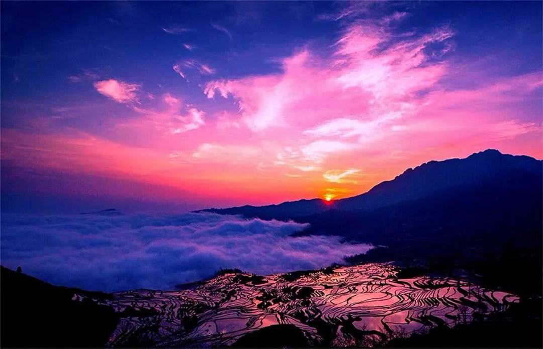 1735218397672041.jpg 《元阳晨曦》陈卓 摄.jpg