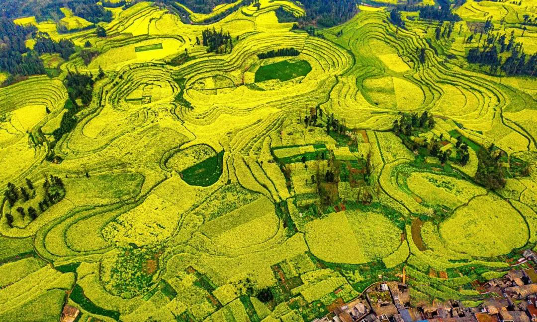 1735218421463353.jpg 《天成花园》李剑虹 摄.jpg