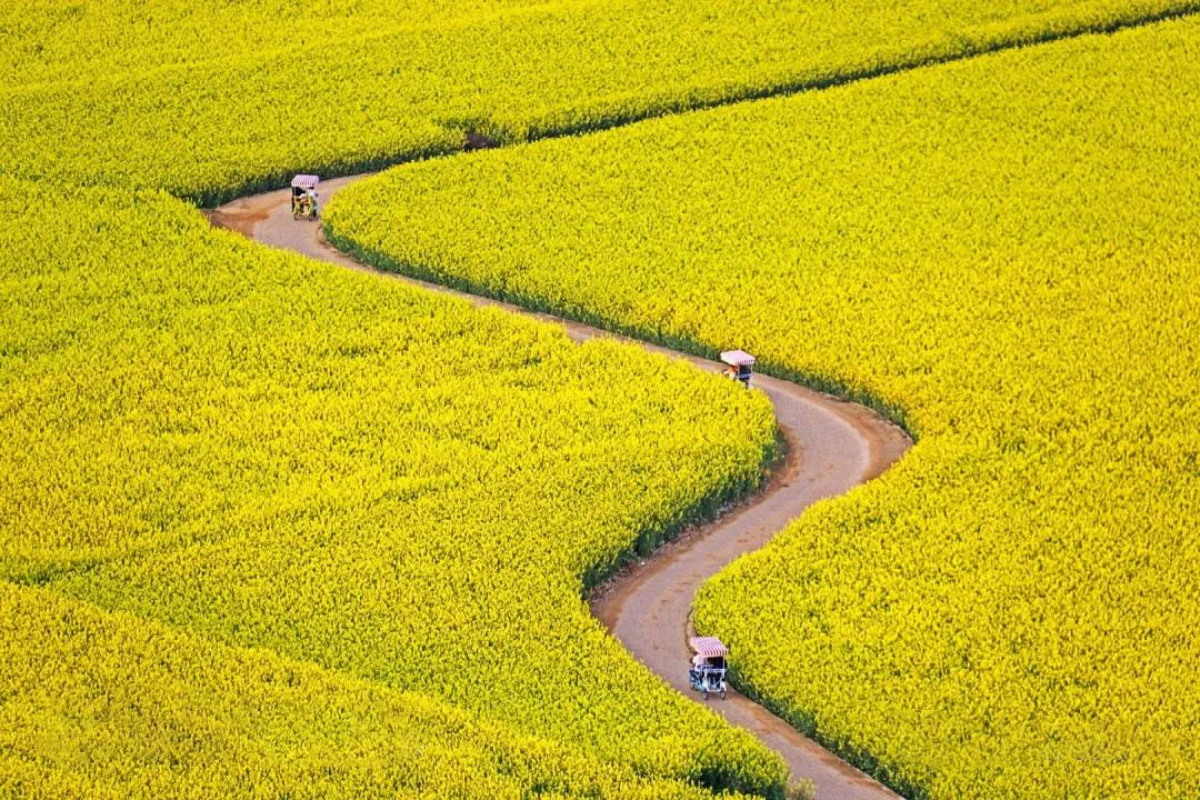 1735218447715096.jpg 《画卷》于怀 摄.jpg