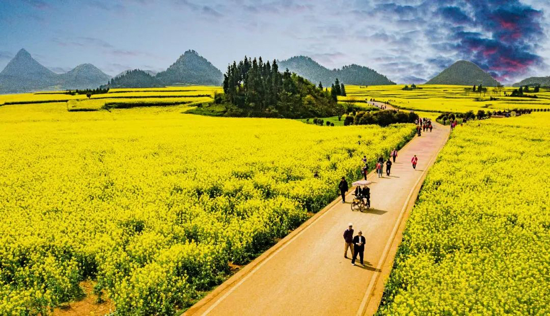 1735219038852327.jpg 《金色童话世界》李剑虹 摄.jpg