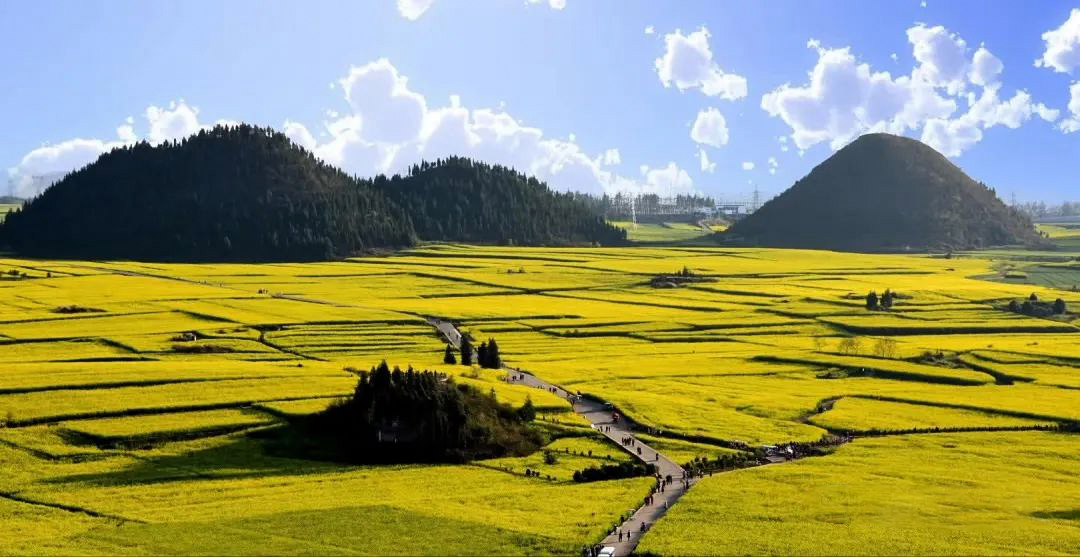 1735219146938236.jpg 《峰林才露尖尖角》秦桂莲 摄.jpg