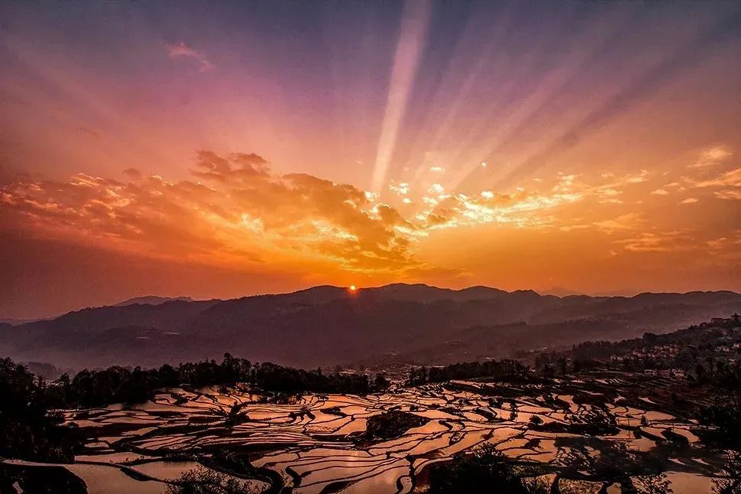 1735219281266243.jpg 《梯田日出霞万丈》许清泉 摄.jpg
