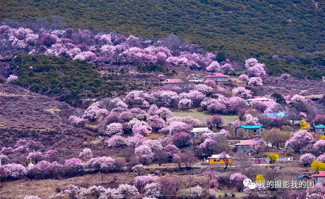 1739439648747842.jpg aa004-standard-scale-2_00x.jpg