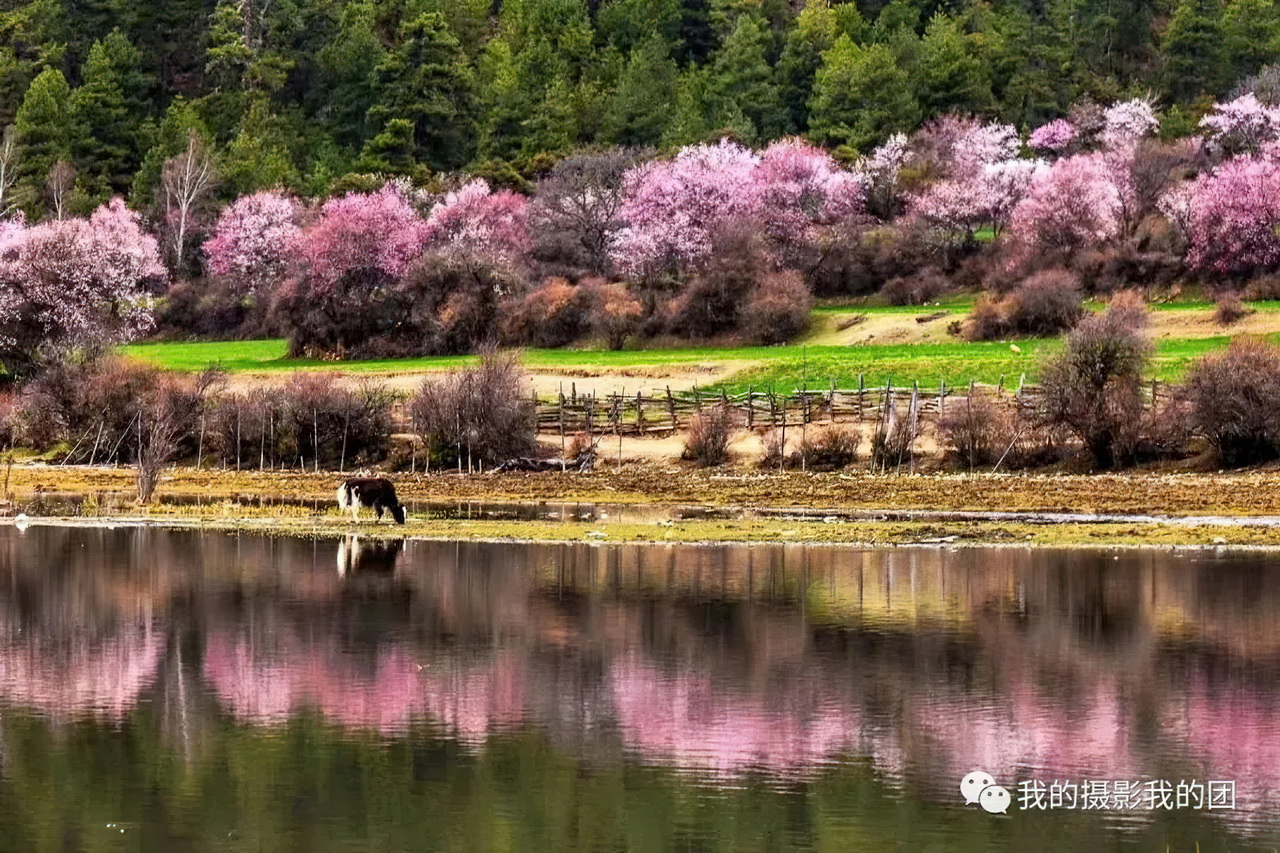 1739439711102885.jpg aa006-standard-scale-2_00x.jpg