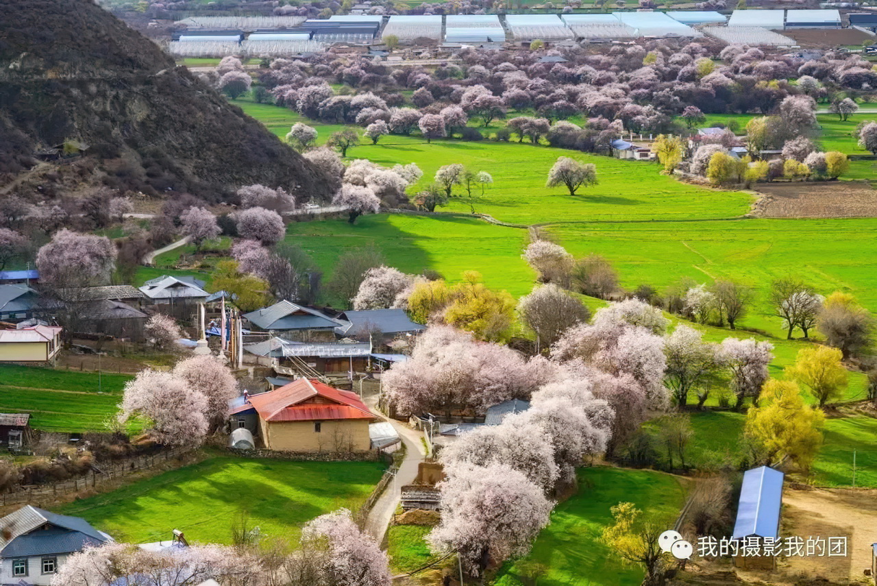 1739439734901218.jpg aa008-standard-scale-2_00x.jpg