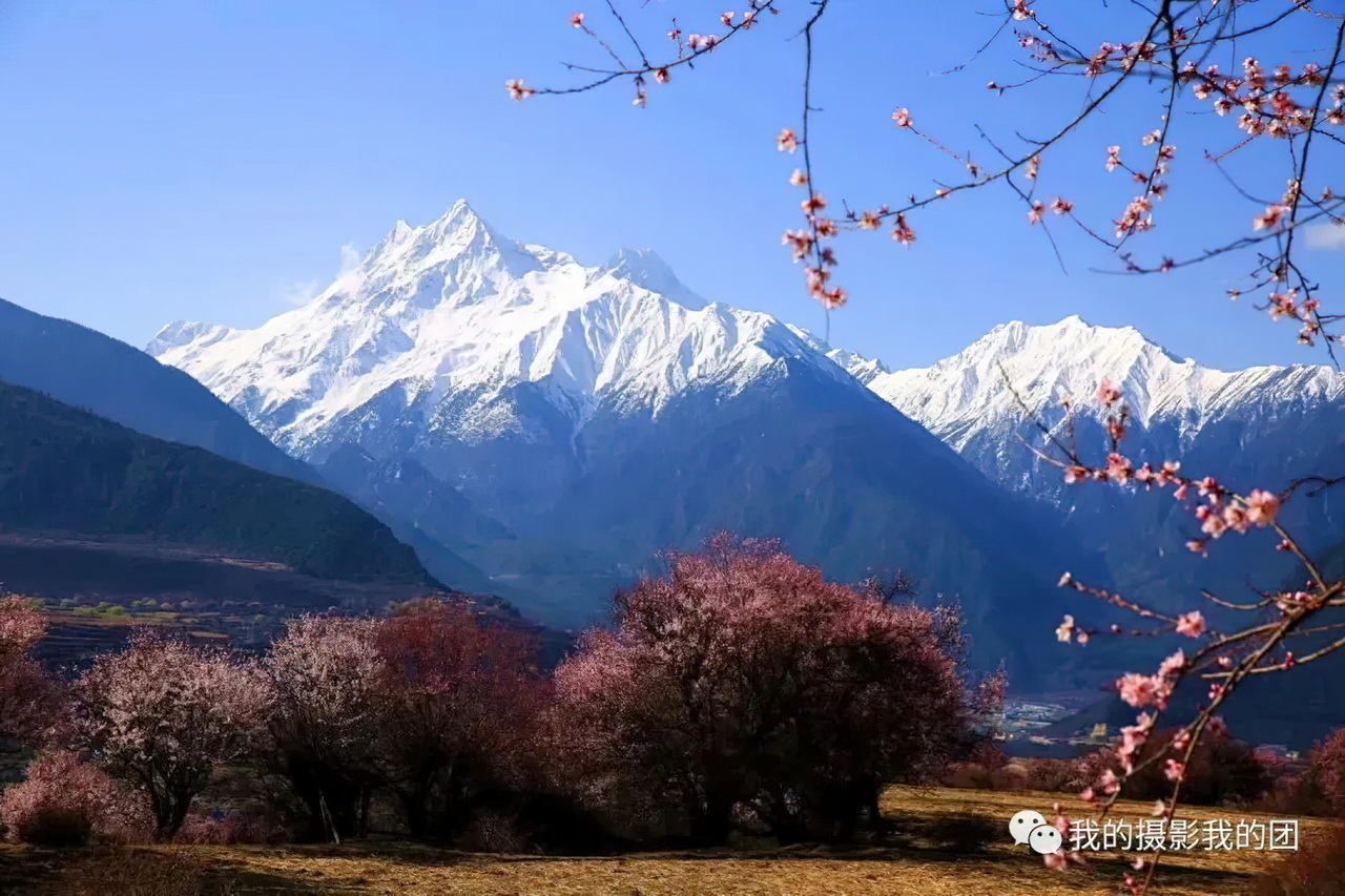 1739439751539524.jpg aa009-standard-scale-2_00x.jpg