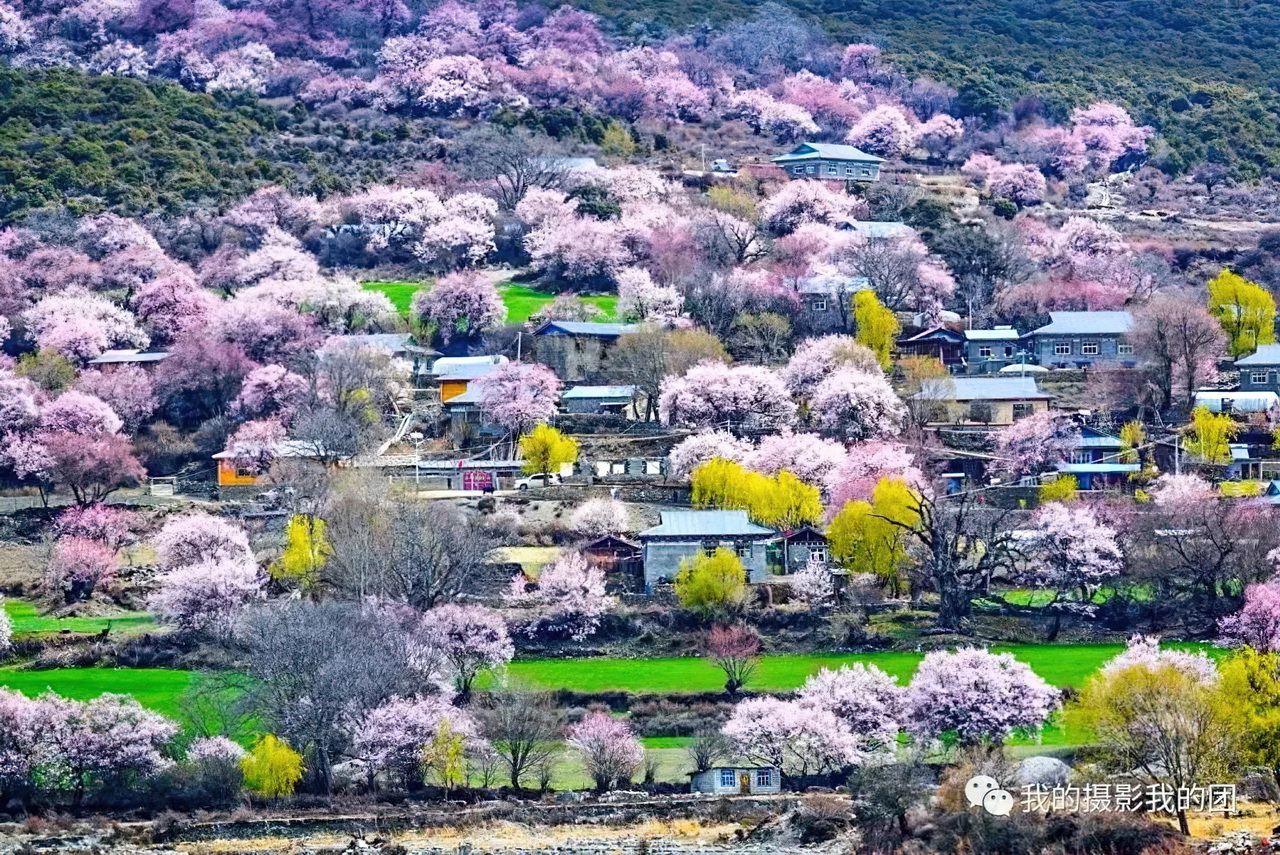 1739439800829325.jpg aa013-standard-scale-2_00x.jpg