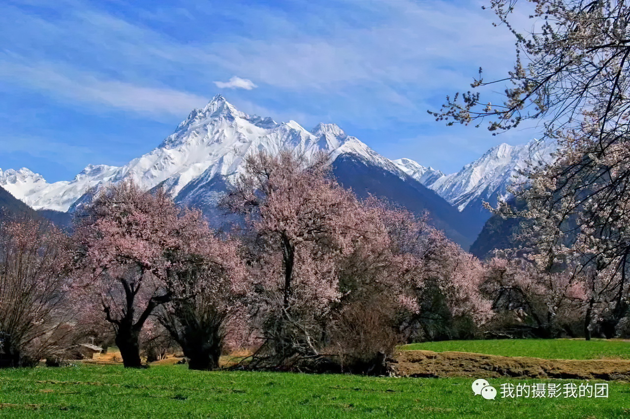 1739439811704457.jpg aa014-standard-scale-2_00x.jpg