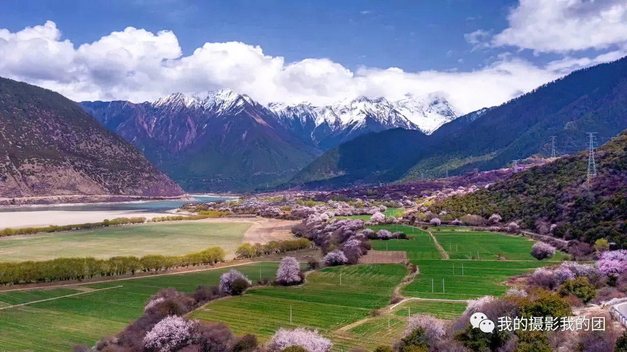 1739439821874884.jpg aa015-standard-scale-2_00x.jpg