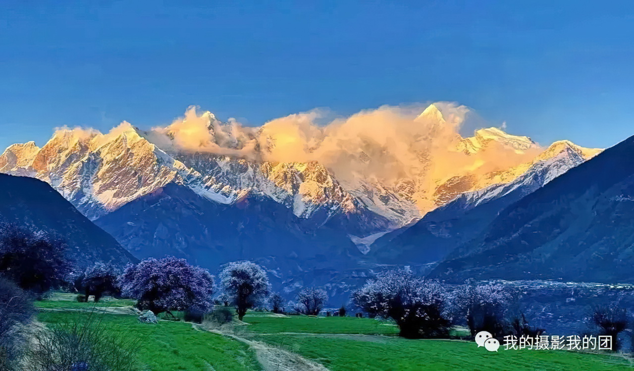 1739439865766618.jpg aa016-standard-scale-2_00x.jpg