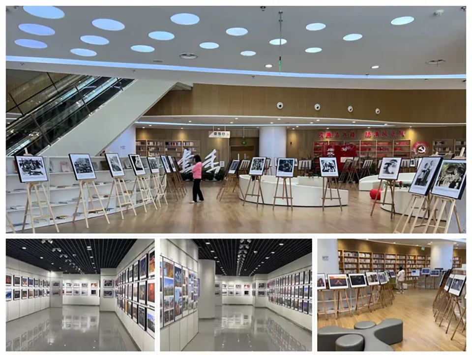 1740038789674771.jpg 003.jpg